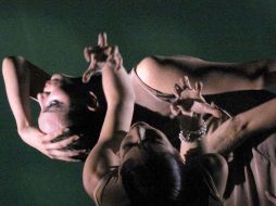 Diversas compañías de danza y la Secretaría de Cultura unieron esfuerzos para hacer posible el evento. ARCHIVO  /