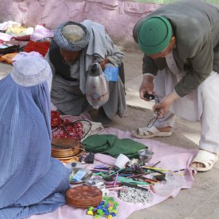 Reducir corrupción, clave para proteger medio ambiente