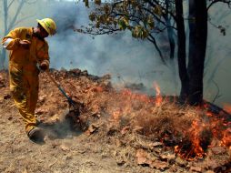 La mayoría de los incendios en Jalisco han ocurrido en el Bosque La Primavera.  ARCHIVO  /