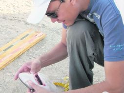 Juan Carlos Pérez Jiménez nació en Cocula y actualmente se desempeña como investigador y académico en Ecosur, en Campeche.ESPECIAL  /