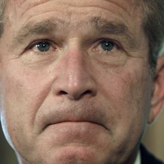 Muerte de Osama bin Laden, un ''logro trascendental'': Bush