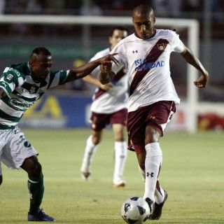 Comienza periodo vacacional emplumado