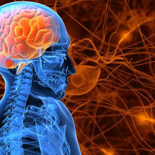 Nueva opción en medicamentos para el control de epilepsia