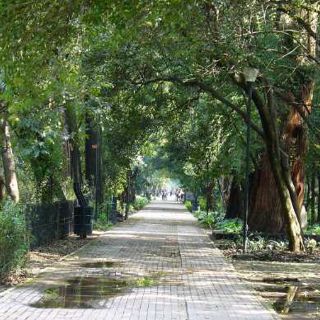 Fusión de culturas en el Bosque de Chapultepec