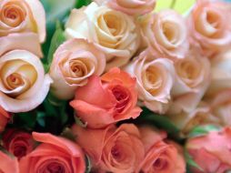 Elige las flores favoritas de mamá y sorpréndela con un arreglo personalizado.  /