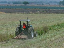 En el compromiso figuran mecanismos para que las carteras agrícolas, ambientales y sanitarias tengan un espacio planificado. ARCHIVO  /