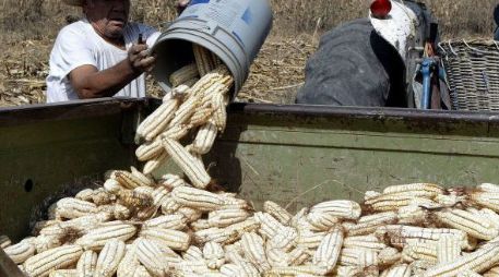 Es la primera ocasión que los talleres de incubación van dirigidos particularmente a grupos vulnerables. ARCHIVO  /