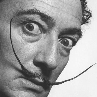 Todo Dalí, a la Web