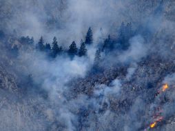 Tras más de un mes de labores de combate, los dos incendios de mayor relevancia en Coahuila están por declararse extinguidos. ARCHIVO  /