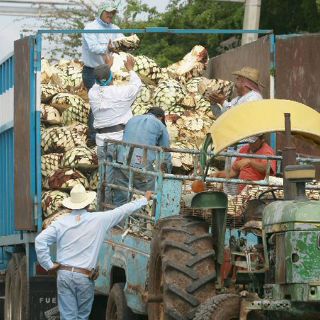 Habrá un laboratorio móvil contra el tequila adulterado