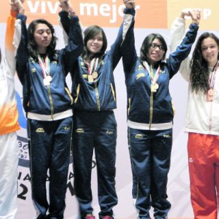 Tiro deportivo corona el título