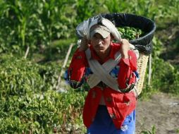 Señalan que 15% de los chiles secos importados que entran al país son de Perú. ARCHIVO  /