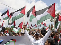 Refugiados palestinos y sirios protestan en la población de Ein El-Tina, Altos del Golan. EFE  /