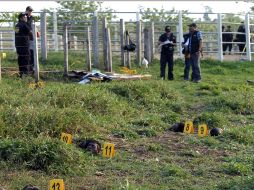 La masacre se produjo ayer en la finca Los Cocos, en el municipio fronterizo de La Libertad. AP  /
