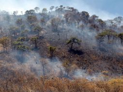 Hasta el momento, se desconocen las causas de los incendios. ARCHIVO  /