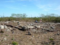 Especialistas localizaron siete nuevos sitios en la localidad de Sitpach en Mérida. EL UNIVERSAL  /