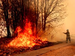 Alrededor de 86 brigadistas se dieron a la tarea de dar batalla al incendio. ARCHIVO  /