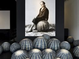 En la imagen se observa la obra ''Canape Cactus'' de Cerruti Baleri, que forma parte de la muestra. EFE  /