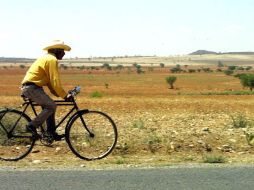 Una primavera boreal muy seca y calurosa  asoló las cosechas de trigo rusas. ARCHIVO  /