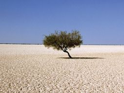 Para Stefano el desierto es ''el único lugar donde encuentras coincidencia del principio y del fin''. ESPECIAL  /