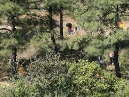 El trabajo de más de 10 años ha generado que los silvicultores también aprovechen los servicios ambientales del bosque. ARCHIVO  /