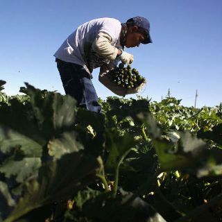 Impulsa SRA a empresas rurales en tierras de uso común