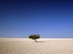 El fotógrafo considera que los desiertos cargan a menudo con un estigma muy negativo. EFE  /