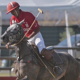 Última jornada del V Campeonato Tapatío de Polo