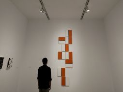 Un hombre contempla una de las obras de la artista Lygia. EFE  /