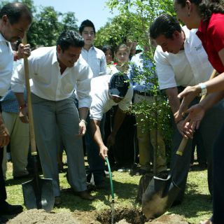 Aristóteles garantiza mejorar Miravalle en seis meses