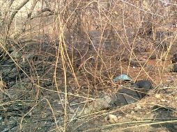 Los hombres abatidos vestían uniformes idénticos tipo militar. EFE  /