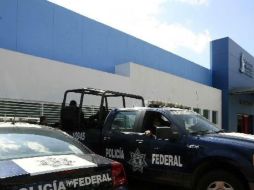 Los detenidos fueron puestos a disposición de la Siedo. ARCHIVO  /