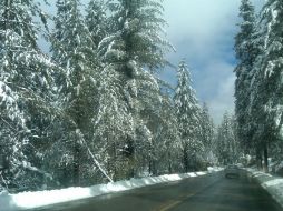Un manto blanco cubre los bosques en pleno mes de mayo.L.FONSECA  /
