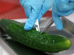 Expertos alemanes inspeccionan los productos sospechosos para descartar mayores riesgos a la salud. AFP  /