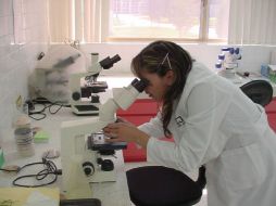 Hace casi un año se presentó la iniciativa ''Unión por la innovación'' que pide aumentar la inversión en ciencia. ARCHIVO  /