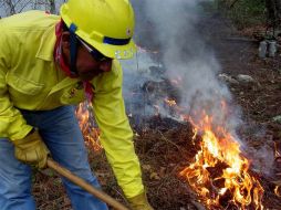 Un total de 63 incendios forestales han afectado la entidad en lo que va del año. EL UNIVERSAL  /