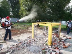 Personal de la Secretaría de Salud fumiga un área verde para evitar contagios de dengue. A. CAMACHO  /