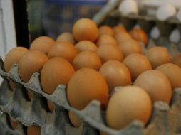 Jalisco aporta 50% de la producción nacional de huevo. ARCHIVO  /