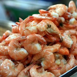 Cerca del 15% de la población jalisciense padece alguna alergia