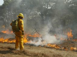 Los municipios con más incendios son Zapopan, Tapalpa, Tala, Tecolotlán y El Arenal. ARCHIVO  /