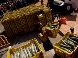 'La alerta epidemiológica se da a través de la notificación oportuna de casos similares a los que se viven en el otro lado'. AFP  /