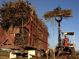 Trabajadores de la industria azucarera trasladada una carga de caña. E. PACHECO  /