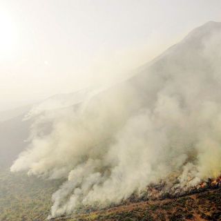 Récord de incendios forestales en México