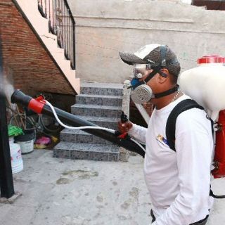 Acumula Jalisco 54 casos de dengue en lo que va del año