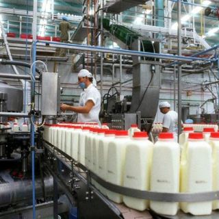 Habrá nueva norma de calidad de leche:  Sagarpa