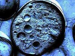 Las células iPS poseen la capacidad de convertirse en cualquier tipo celular especializado. ESPECIAL  /