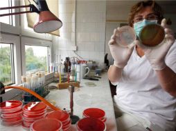 El Salvador iniciará campaña de rastreo y control del E. coli. REUTERS  /