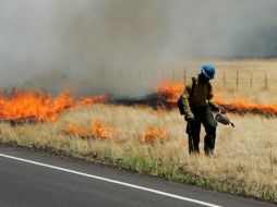 La noche de este miércoles, cientos de bomberos lograron salvar de las llamas en una titánica labor la comunidad de Greer, Arizona. AP  /
