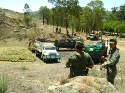 La PGR indicó que una denuncia ciudadana permitió llevar a cabo el aseguramiento. ARCHIVO  /