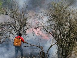 Explican que 353 mil 970 personas participaron en el combate de los siniestros. ARCHIVO  /